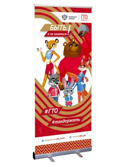 BNG9-10-Z - Роллерный стенд Image 1